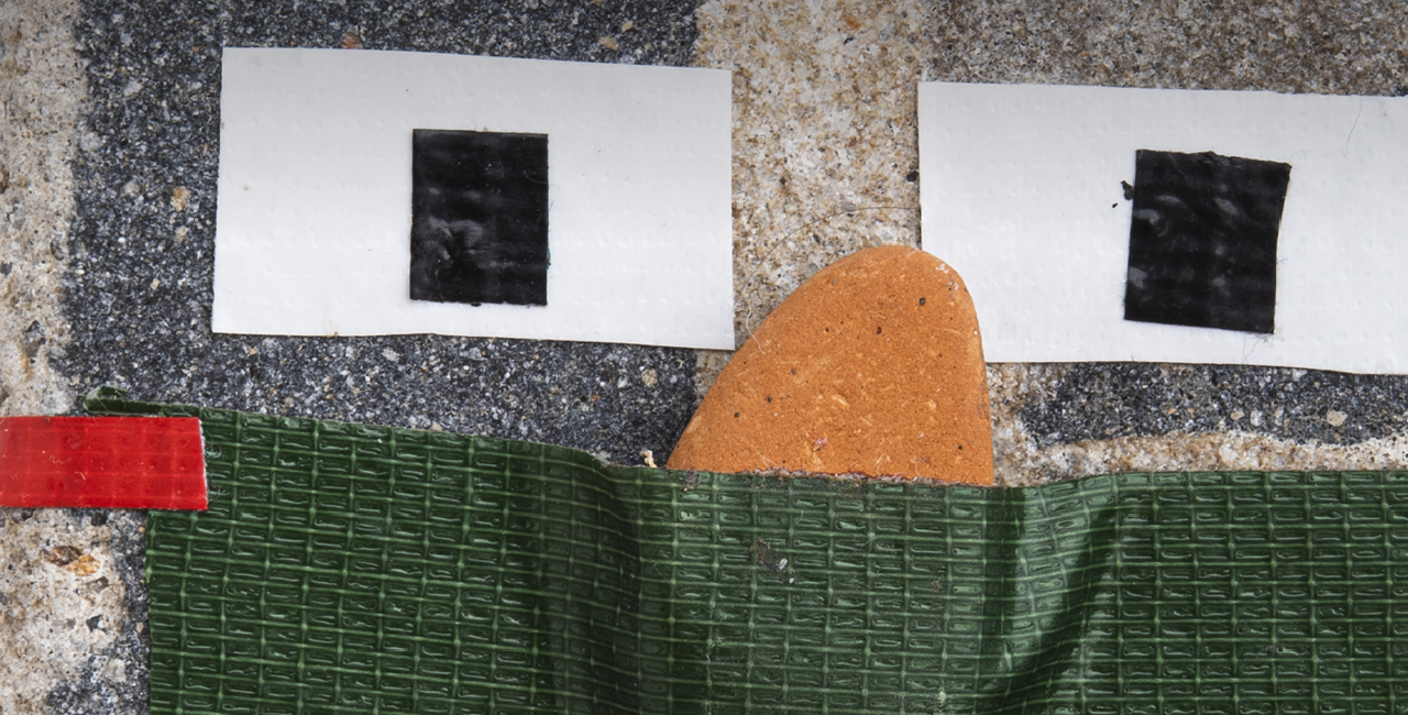 TTP - Federico Bianchi