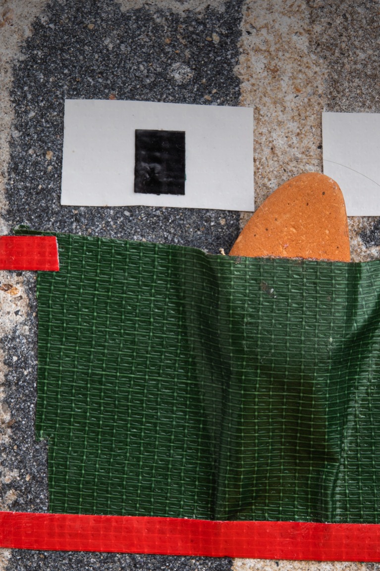 TTP - Federico Bianchi